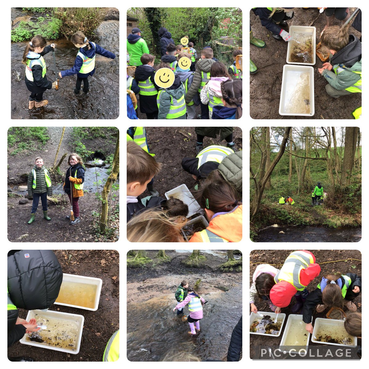 BroomfieldsJnr's tweet photo. 3HG enjoyed their day at Fox Howl! We loved stream shuffling and discovering the creatures living in the fresh water! We heard all about how pollution is damaging our local environment!
#BroomfieldsYear3 #BroomfieldsScience #BroomfieldsGeography https://t.co/cfQZ40mteQ