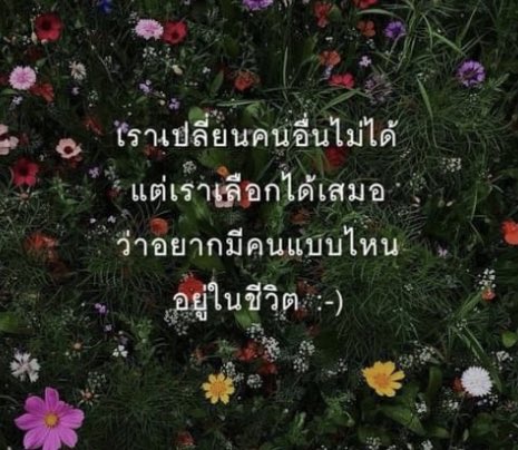 ffffwwwB69's tweet photo. เลือกนะคะ #FWBเชียงใหม่ https://t.co/hsshDpwWFI