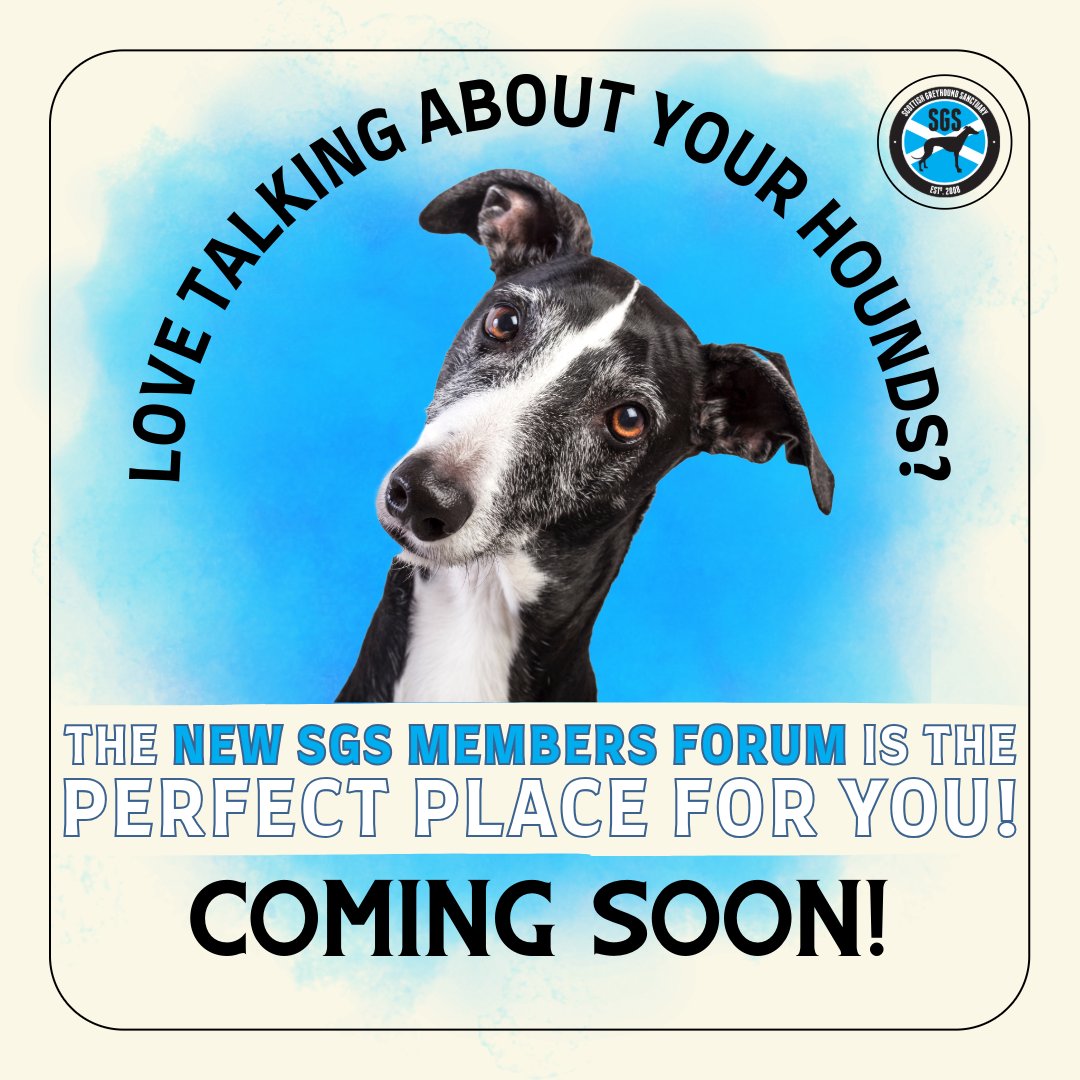 We have some exciting news... the SGS team has been working away in the background developing a new members forum and it's almost ready to launch... Stayed tuned for more updates!