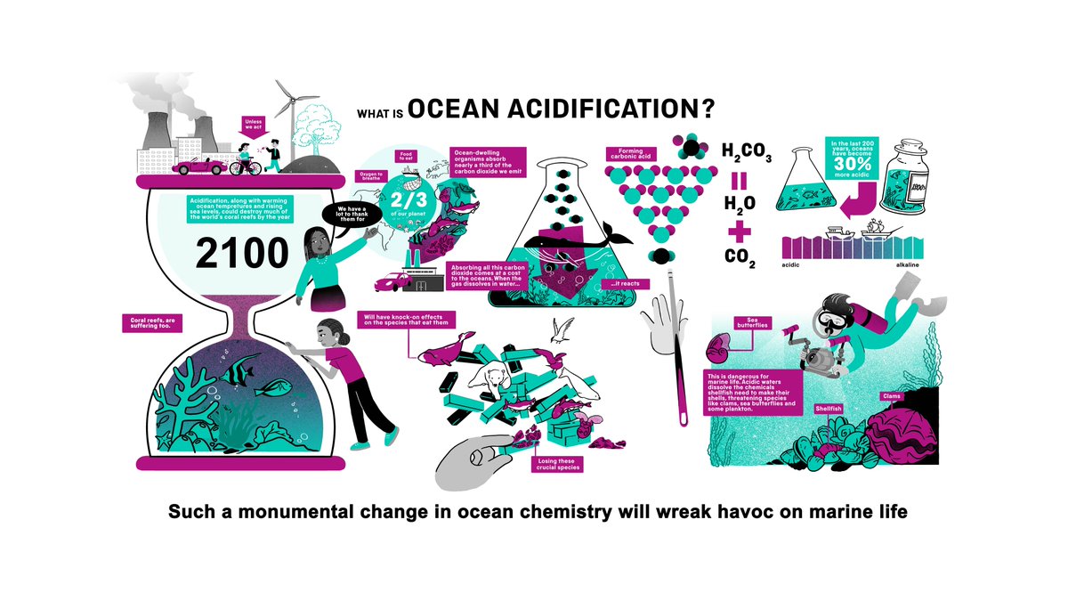 With more carbon dioxide in our atmosphere, our oceans are changing. 

Discover how in this animated film: bit.ly/3U04s2N