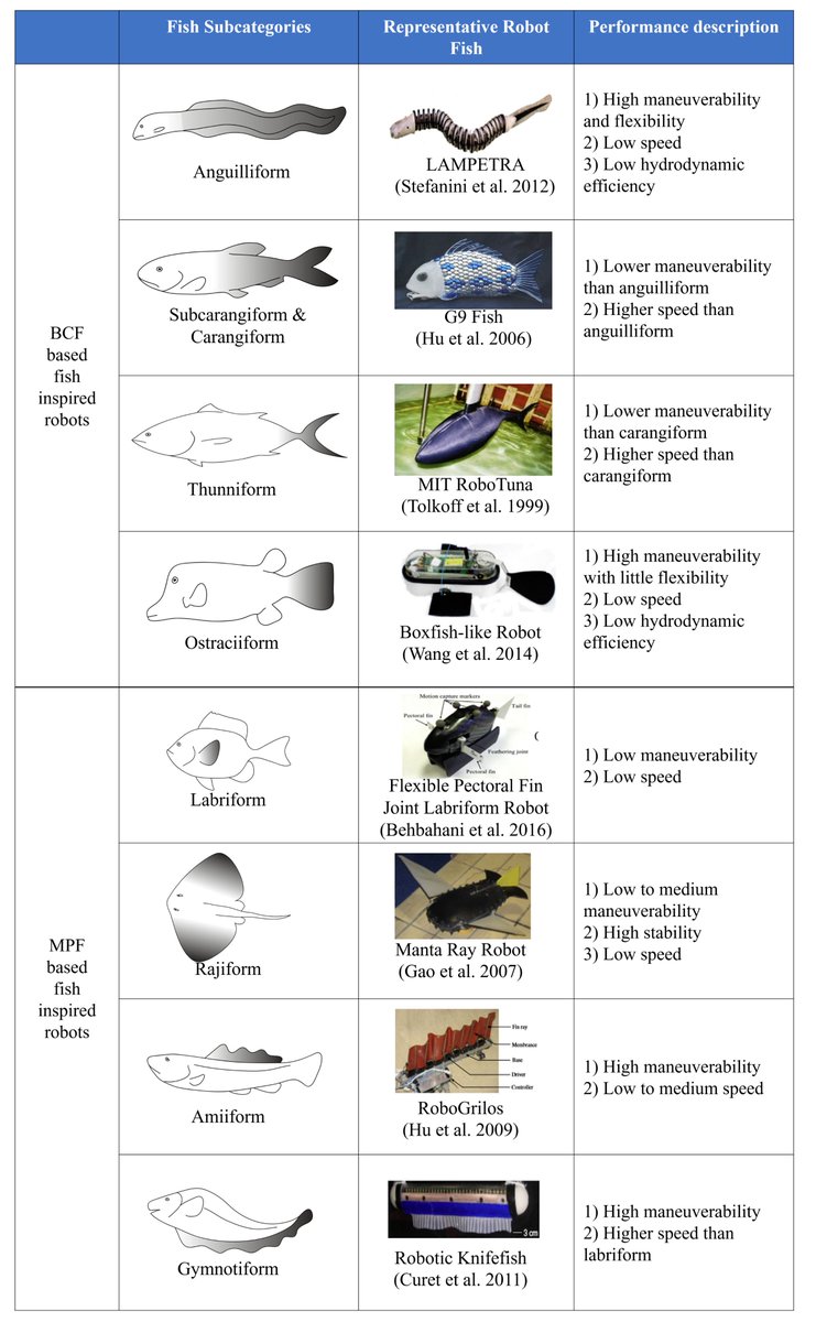 🤖 Exciting news! #HighlyCitedParer 'Recent Progress in Modeling and Control of Bio-Inspired Fish Robots' has been making waves 🌊 in the robotics community! 👉Read the full paper here: mdpi.com/2077-1312/10/6… #Robotics #BioInspired #FishRobots🤖 @ZJU_China @Westlake_Uni