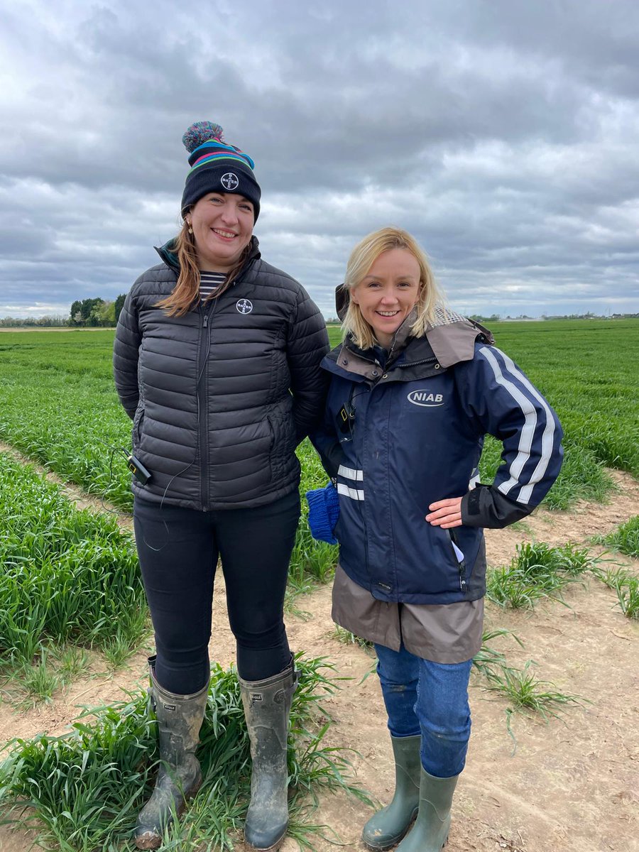 Bayer Crop Science UK tweet media