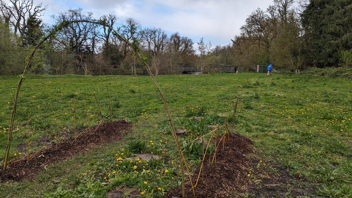 Volunteers busy in the sun showers on the wildflower meadow at #parcybetws #betwspark. The living willow archway /tunnel is coming along.  @HeritageFundCYM @HeritageFundUK @WGClimateChange @garddioamwy @BBCTheOneShow @SFarms_Gardens @HeartWalesLine @Keep_Wales_Tidy