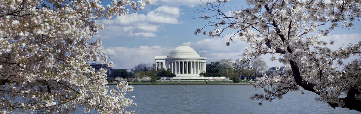 良いニュースなのにほとんど報じられていない不思議。 桜２５０本を追加寄贈＝米「自由の女神像に匹敵」―岸田首相が公表 equity.jiji.com/oversea_econom…