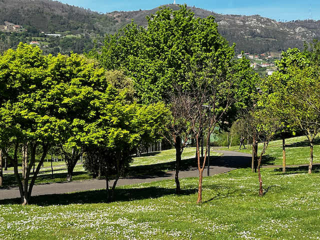 TwittAstur's tweet photo. Primavera en Asturias ... priceless! https://t.co/vp9qHg6QDD