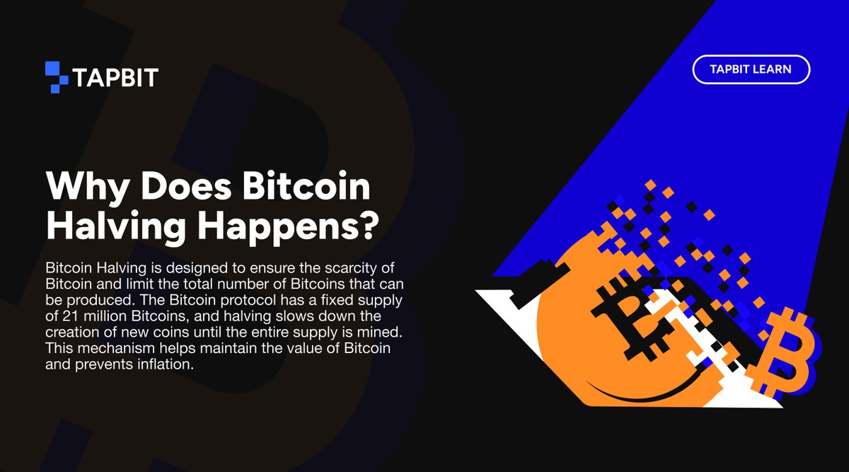Tapbitglobal's tweet photo. 📚Everything You need to Know About BTC Halving 2024! 🪙
Stay tuned #TapbitLearn for valuable content and updates. 🚀
#BTCHalvingCountdown #Tapbit #BitcoinHalving https://t.co/Rc3Qrmw4R7