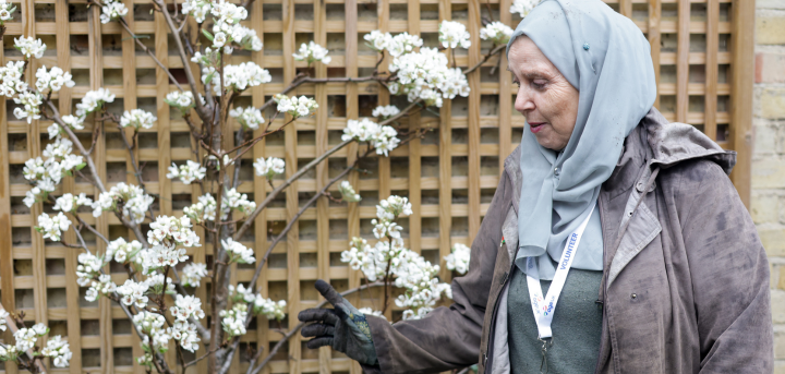 🌼 Ready to get your hands dirty or just enjoy the tranquility of nature? 🌿 Join our #Garden Volunteers every Friday for a morning of gardening fun! Why not, drop by and lend a hand or simply relax with a cuppa in our outdoor oasis. ☕ ageuk.org.uk/croydon/activi… #ageukcroydon