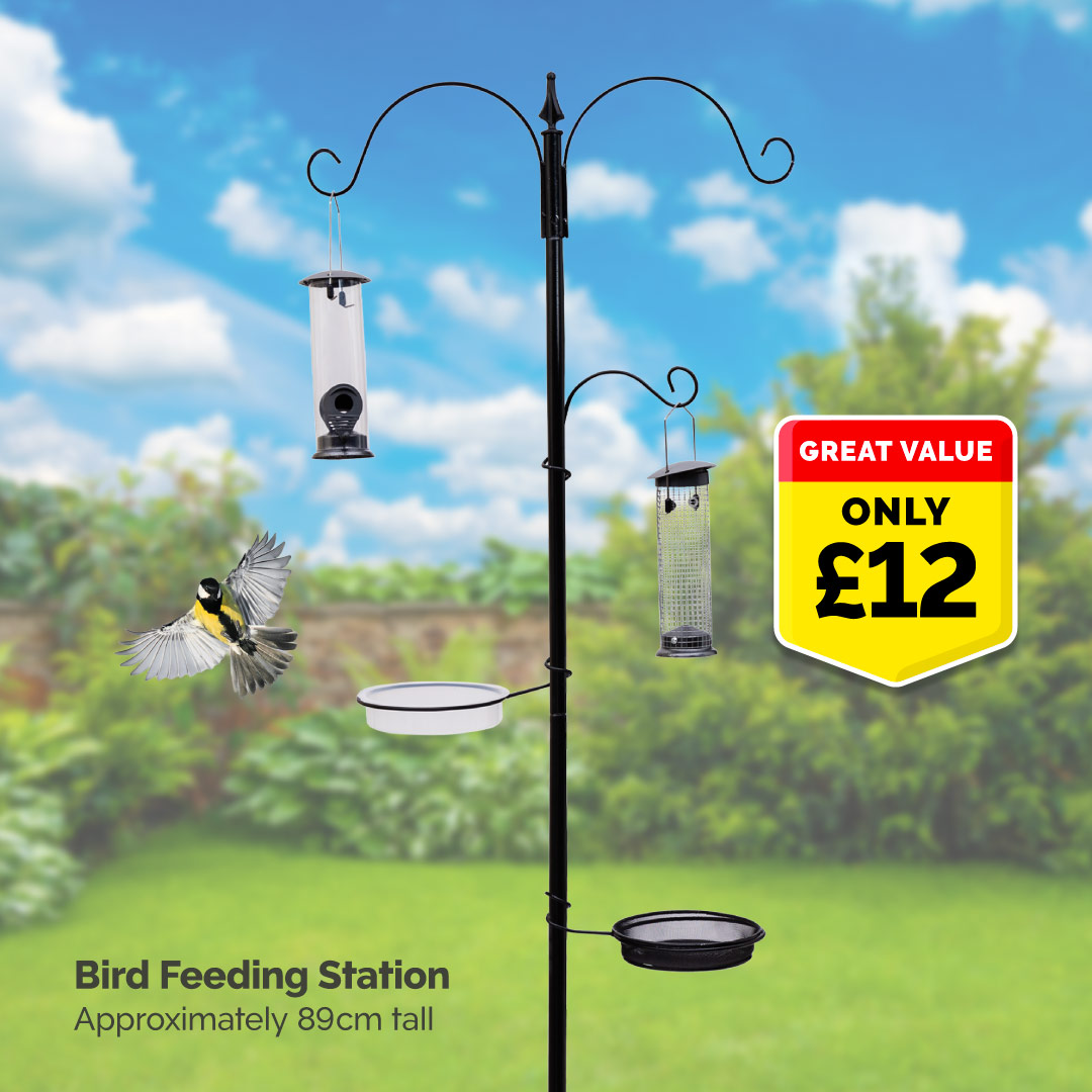 Add our bird feeding station to your garden for only £12 🐦 #wildbirds