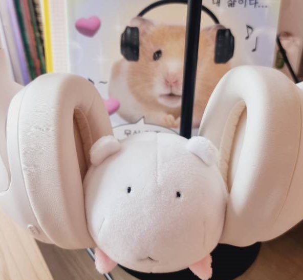 덩얼 이즈 마이 라이프