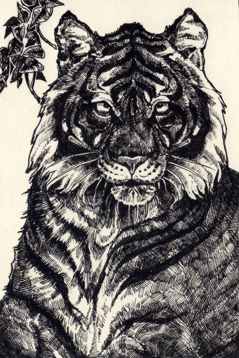 ペン画でトラを描きました。
とてもカッコよく仕上がったので満足です✨
#ペン画 #動物イラスト #アート #虎
#絵描きさんと繋がりたい #芸術同盟
#animal #illusrtation #tiger #art