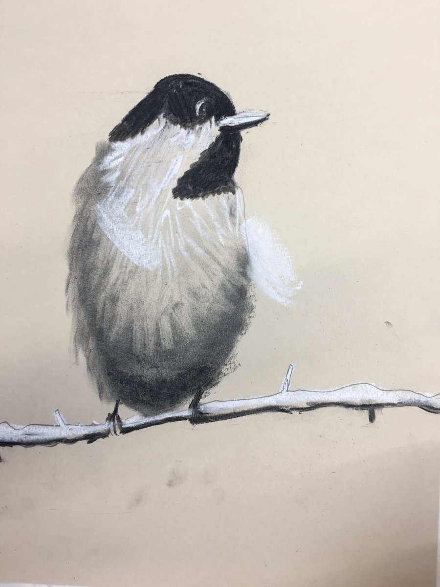 startStudiosUK's tweet photo. Art Club
Charcoal and Chalk 
#art #artClasses #childrensart 
#teaachart #artlearn #artKids #kids #kidswork
#afterschool #painting #drawing #creativekids #artclasskids #artclasschildren #artteaching #artkidsprojects #artteaching https://t.co/yOYdk2nRP2