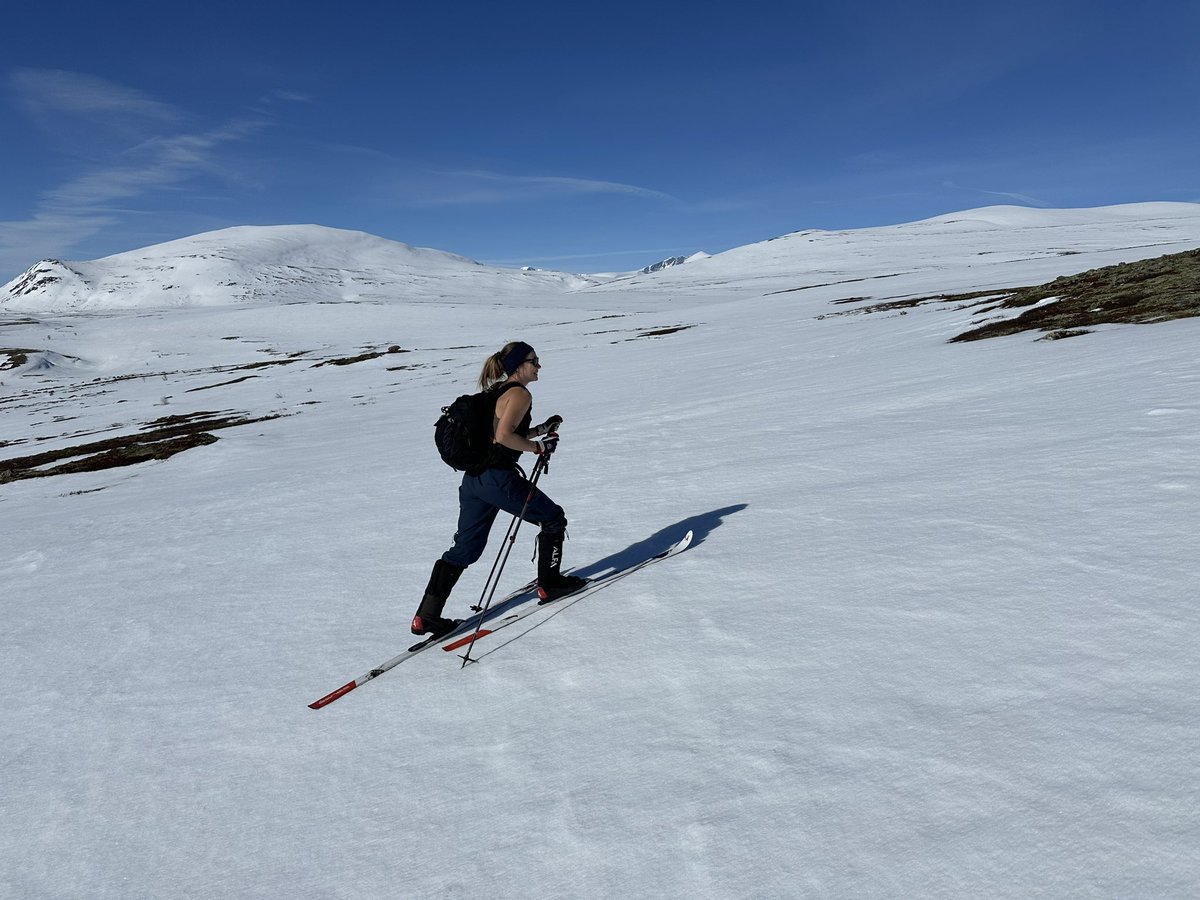 Fredrik Jutfelt @jutfelt.bsky.social tweet media