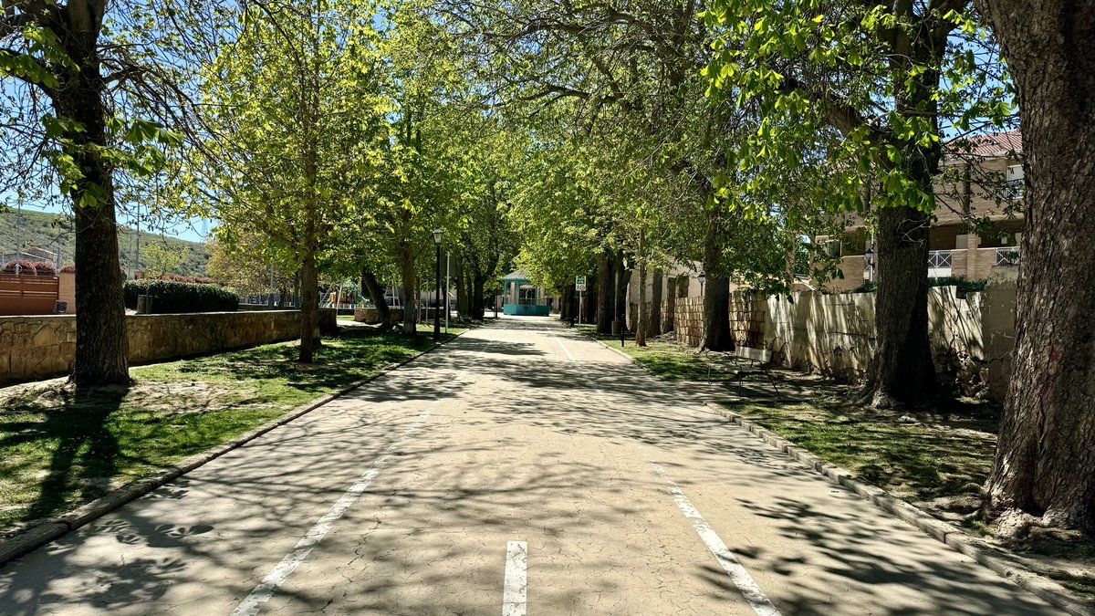 Con 1km de longitud y 30 hectáreas, el parque de la Dehesa es perfecto para pasear, andar en bici o salir a correr 🏃🏻‍♀️ Ademas, cuenta con la alineación de castaños de Indias + grande de Europa y un manantial de 💦 sulfurosa ⛲️ ¡Un lugar muy especial! #ÁgredaMoncayoMágico