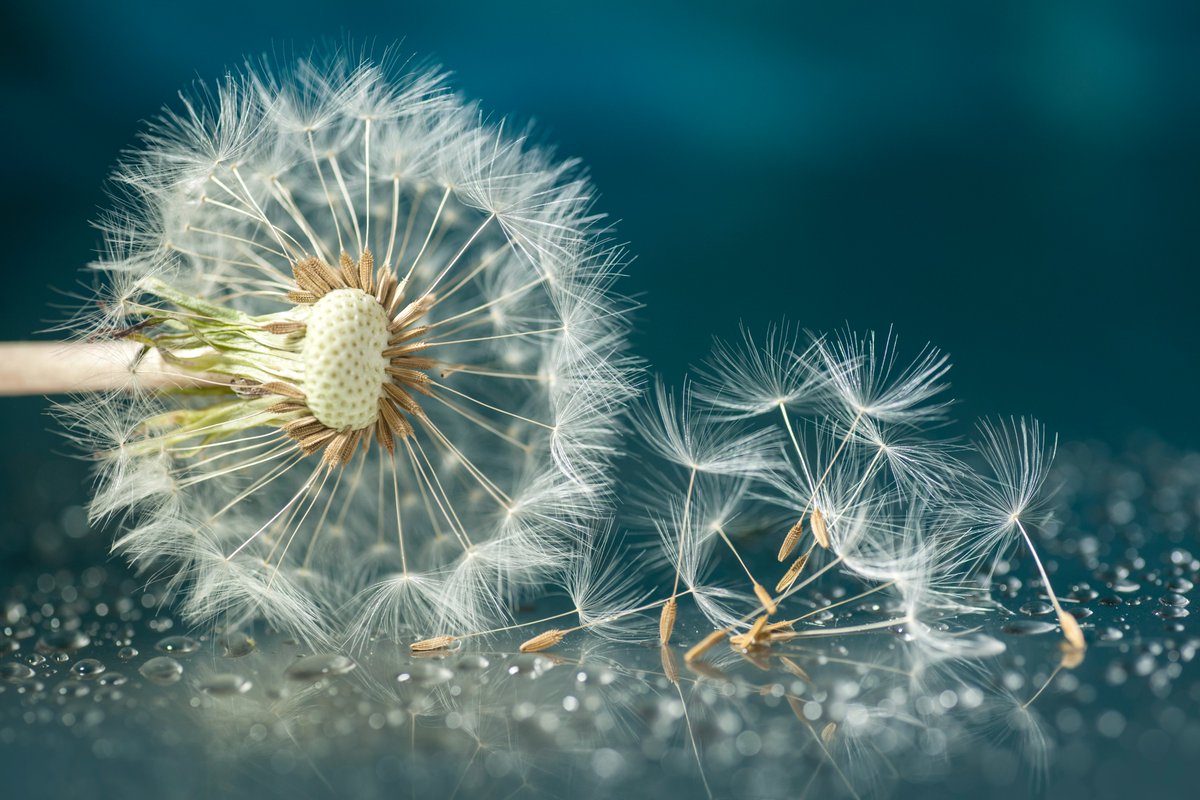 Opening a treasure trove of topics to mesmerise the technology lovers - come, lets learn, discuss, network and share! Polyglot day 2024!

#java #innovation #performance #Security  #monitoring

lnkd.in/gRWymH_A