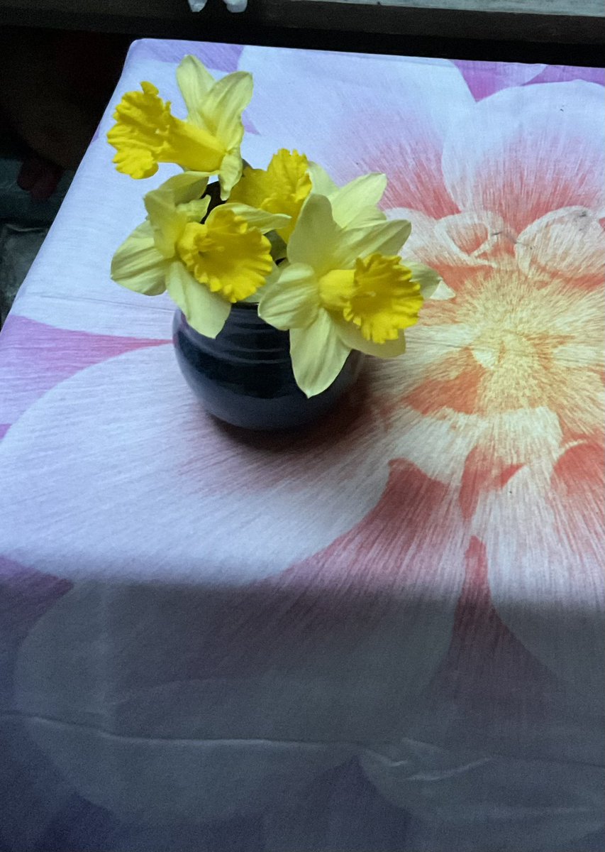 Look, @melostrom Finally some daffodils. Thank you so much for sending this cute little flower vase. It’s so beautiful, Melissa.💙💜🩵