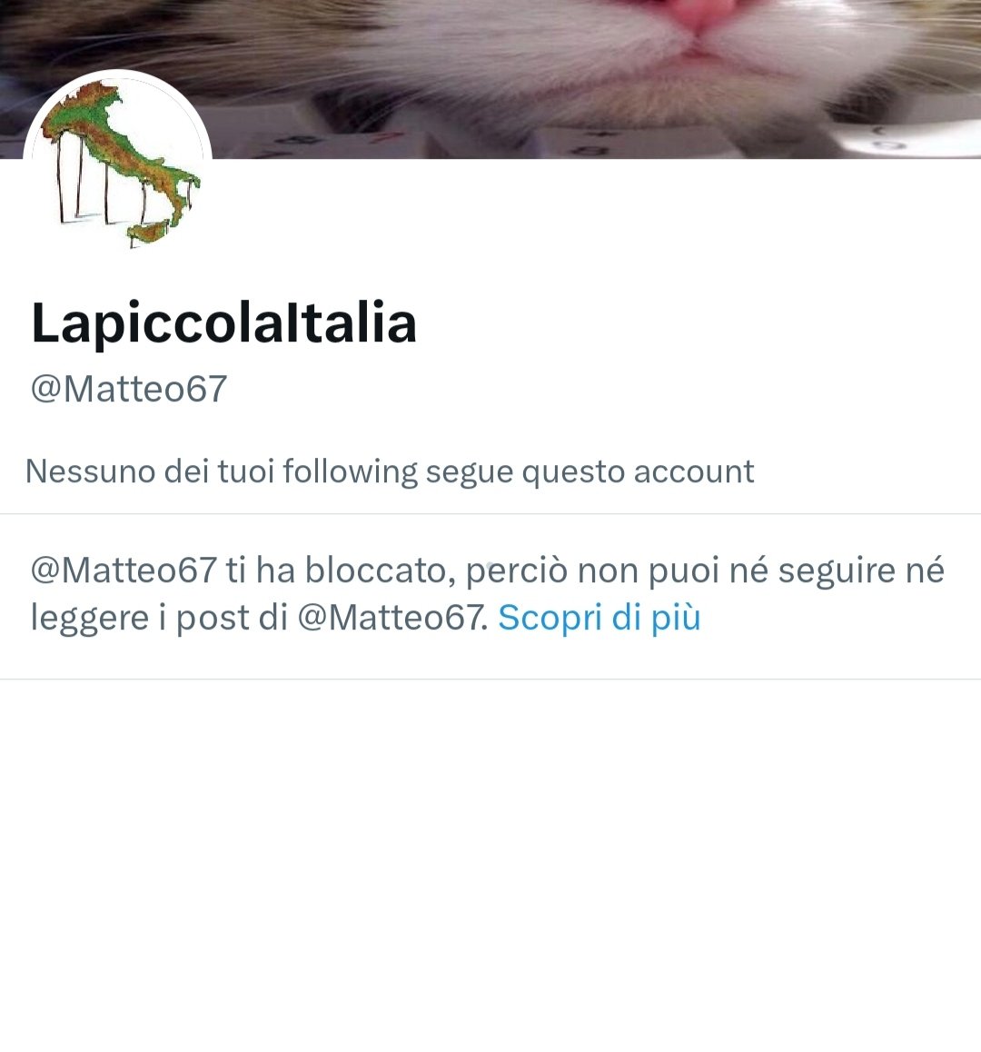 Questo soggetto che prima ritwitta un mio tweet che menziona una notizia quindi una fonte, invita a querelarmi (perché?) ma il cuor di leone si affanna a bloccarmi subito per non farmi rispondere... Questi sono i valorosi difensori di che???