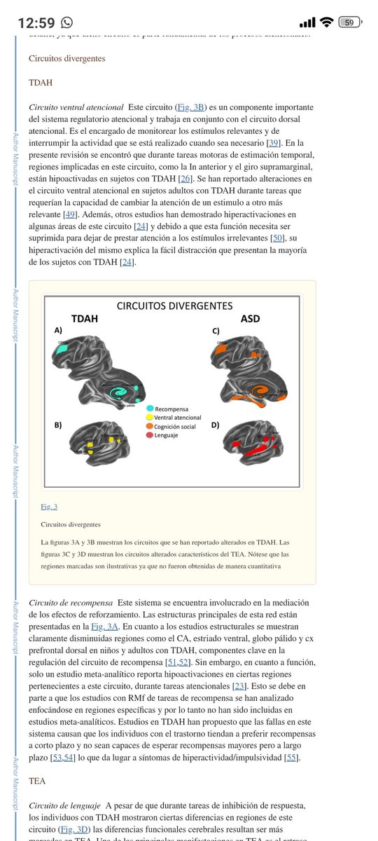 sara08_3's tweet photo. @nan0bio (En este estudio cerebral que se hizo en tdah y tea se muestran conductas similares/convergentes entre ellos y conductas que no comparten/divergen. La atención, recompensa, socialmente y en el lenguaje somos diferentes niña, así que normal que no te sirva 
https://t.co/rc47eme822 https://t.co/16tzxmWLwu