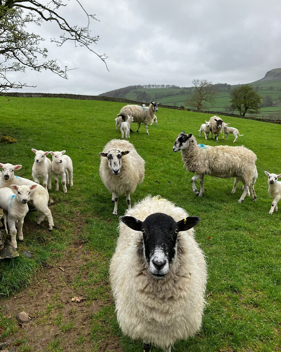 Community Clothing tweet media