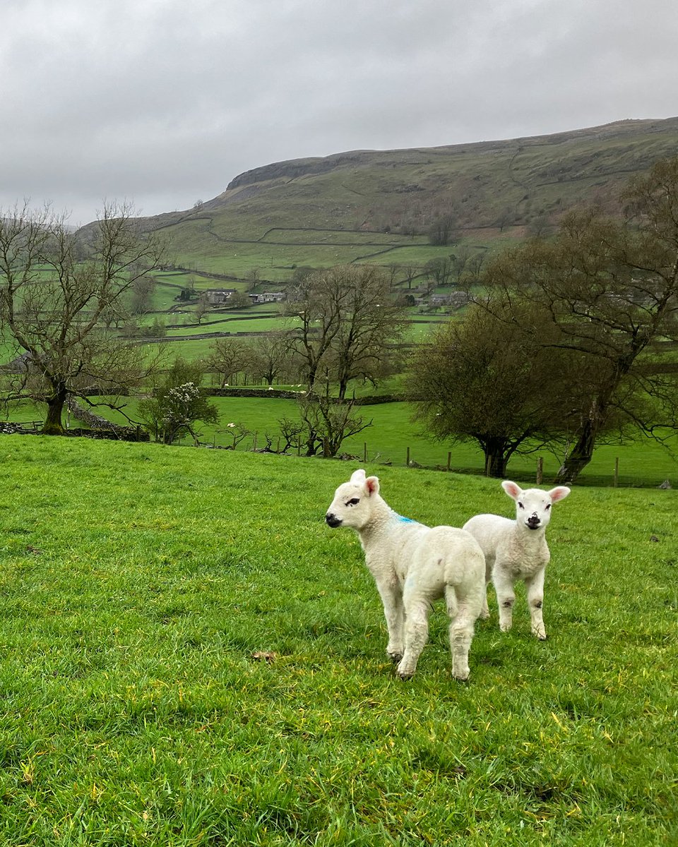 Community Clothing tweet media