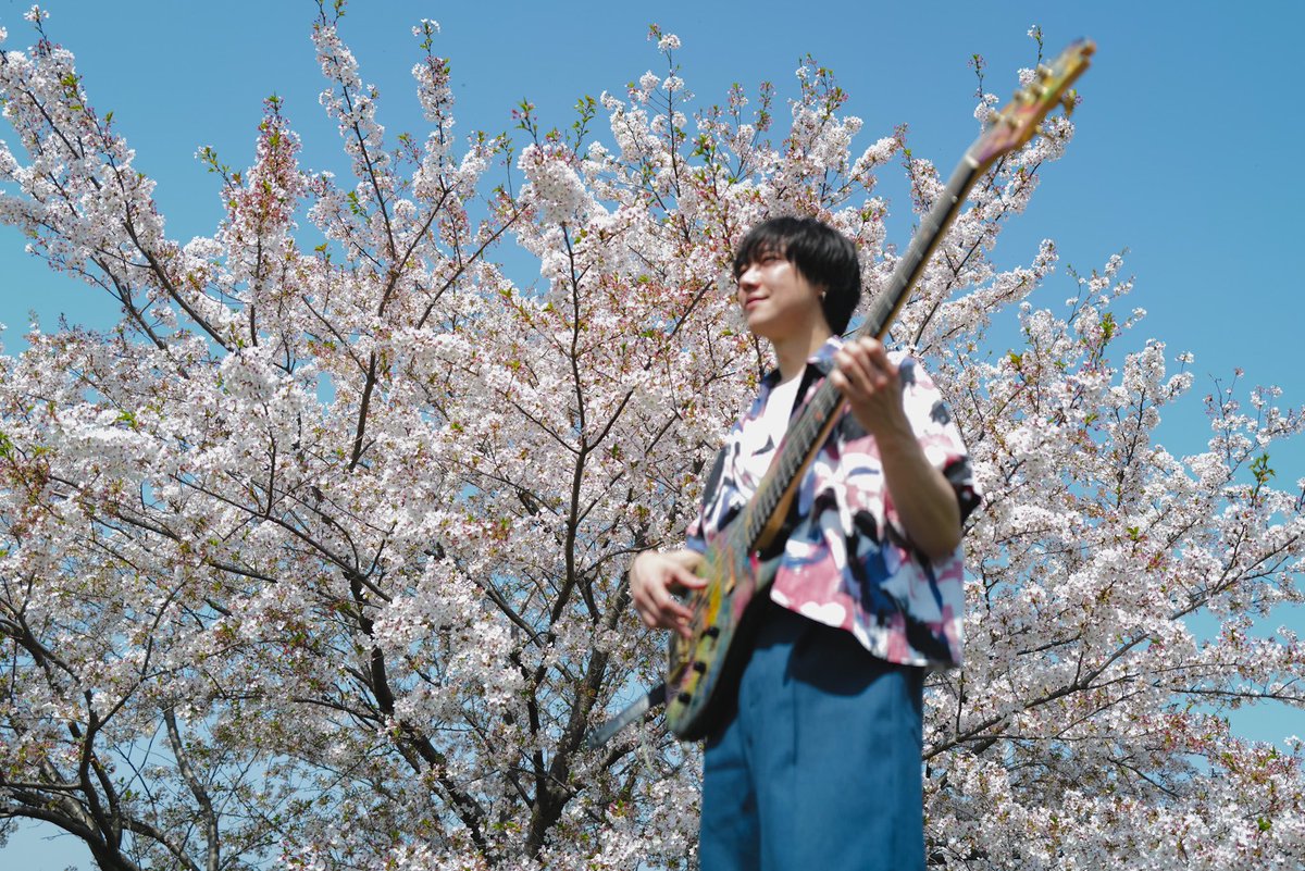 Megu_198's tweet image. 【New動画UP】
春らしい曲にしようと思って #中島美嘉 さんの「桜色舞うころ」を弾いてみました🌸どこか日本らしさを感じる美しい大好きな曲です！

撮影はギタリストの坂本夏樹くん！
毎回本当に最高すぎます😂ありがとう！

youtu.be/NfAda1golyk?si…

#弾いてみた
#basscover