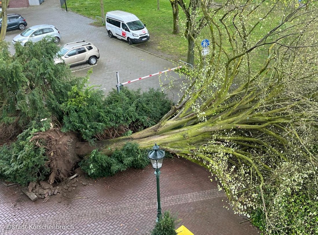 🟢 #Tornado am 04.04.2024 in #Korschenbroich, östlich von #Mönchengladbach (#NRW): Entlang einer 5.6 Kilometer langen Schneise wurden viele Dächer und Bäume beschädigt. Auch in den Gemeinden Pesch und Kleinenbroich kam es zu Schäden. ⬇️ Zur Analyse: torkud.de/post/vkorschen…