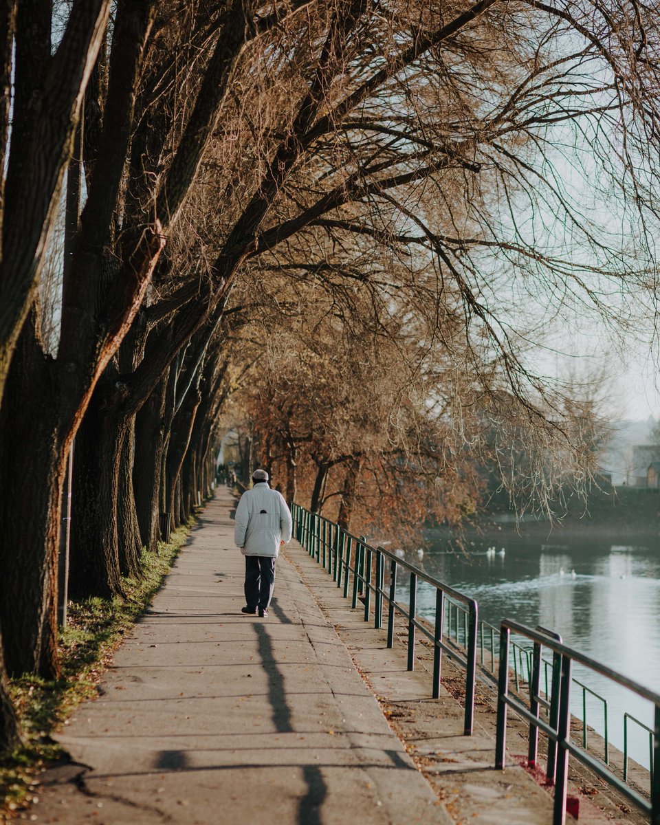 Caminar solo una hora dos veces por semana tiene un impacto positivo en el tamaño del hipocampo, que es el área del cerebro relacionada con la memoria verbal y el aprendizaje. El volumen del hipocampo tiende a disminuir alrededor de un 1-2% anualmente, lo que se asocia con un…