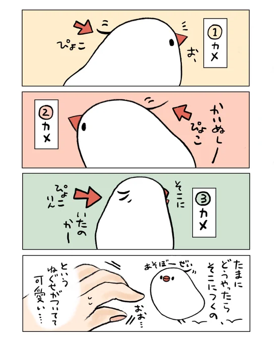 ぶんちょのねぐせ 