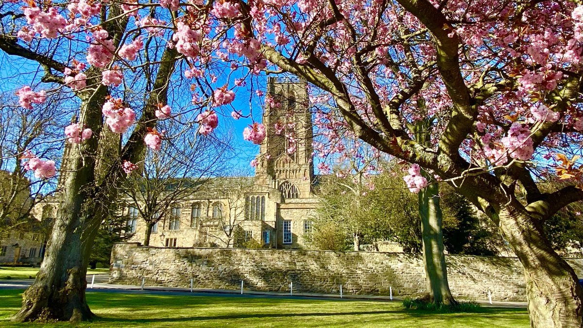 JOB ALERT! @durhamcathedral is seeking a Senior Finance Officer. More / apply 👉 bit.ly/3Jl39GI #FinanceJobs #ChurchJobs #NEJobs #NorthEastJobs