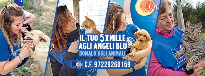 OipaTreviso's tweet photo. #5x1000 #protezioneanimali #5permille #5per1000 #cinquepermille #cinquexmille #modello730 #730precompilato #dichiarazionedeiredditi #terzosettore #odv #onlus #caf #oipa #Treviso #Veneto 👉https://t.co/S1DKgqMwgw per aiutarci 👉https://t.co/0MtxG1ZasE https://t.co/nHZRV3zMM7
