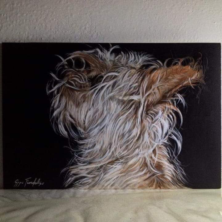 Penny #YORKSHIRE  #yorkshireterrier #yorkie #dog #york #dogsofinstagram  #yorkielove  #doglovers #puppy #pet #yorkies #yorkiegram #instadog #yorkielife #terrier  #nature #doglover #pets #fiordalisoart #animalidipinti #animalidipinti@outlook.it