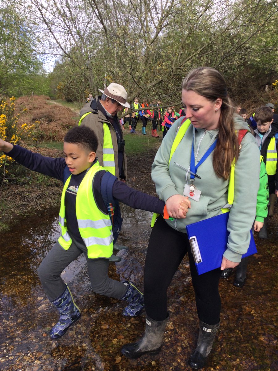 Hale Primary School tweet media