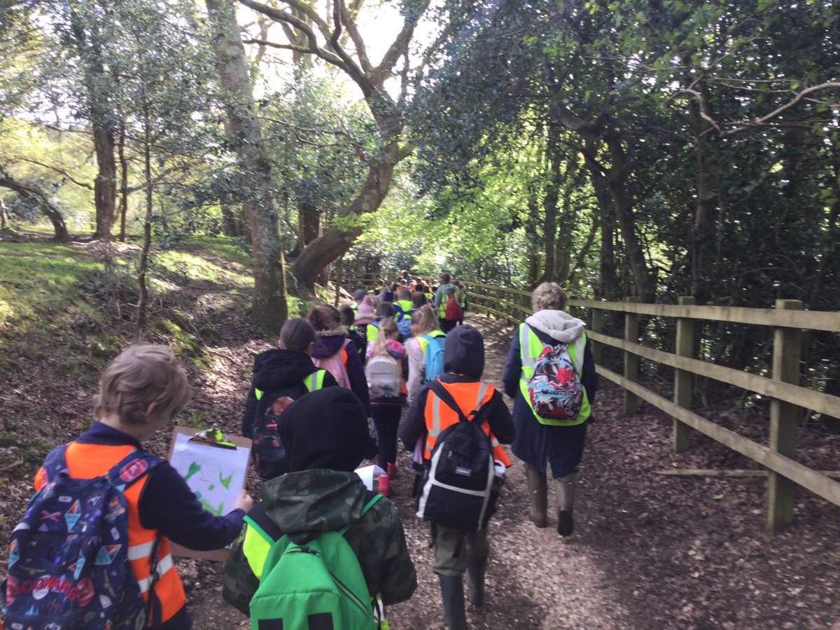 Hale Primary School tweet media