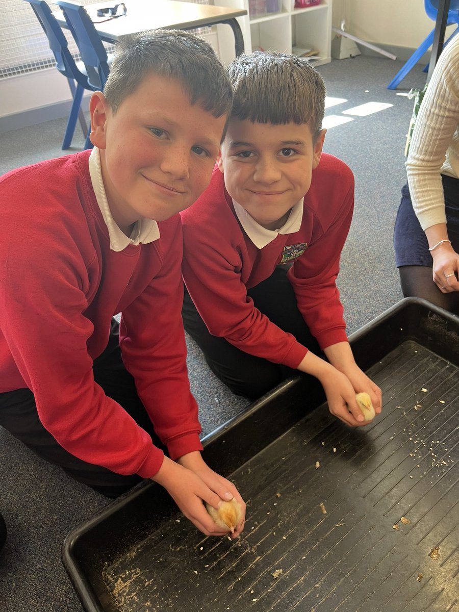 Class 3 tweet media
