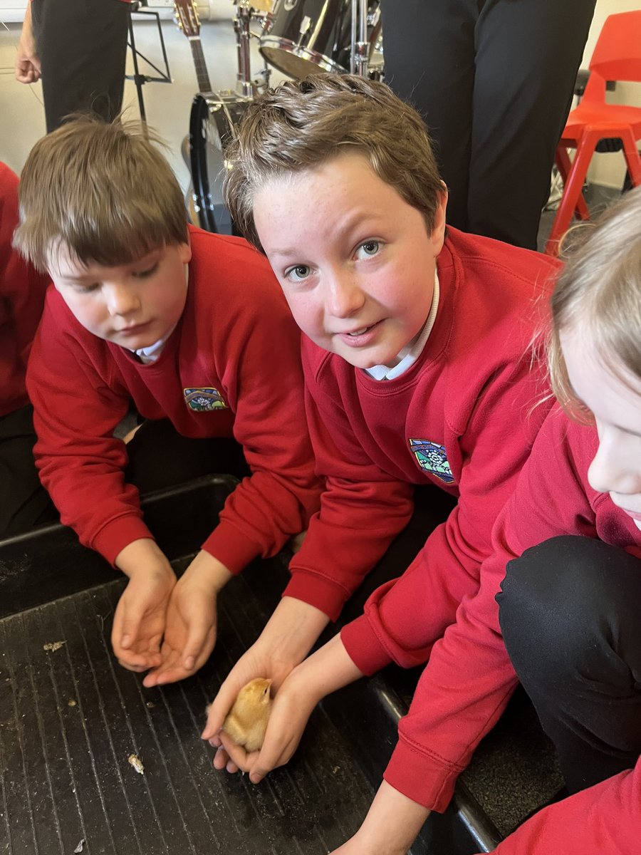 Class 3 tweet media