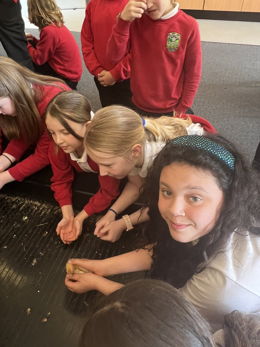 Class 3 tweet media