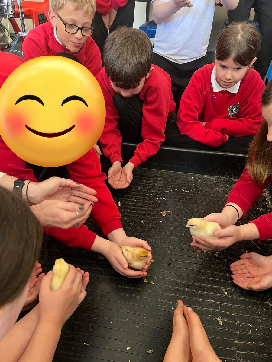 Class 3 tweet media