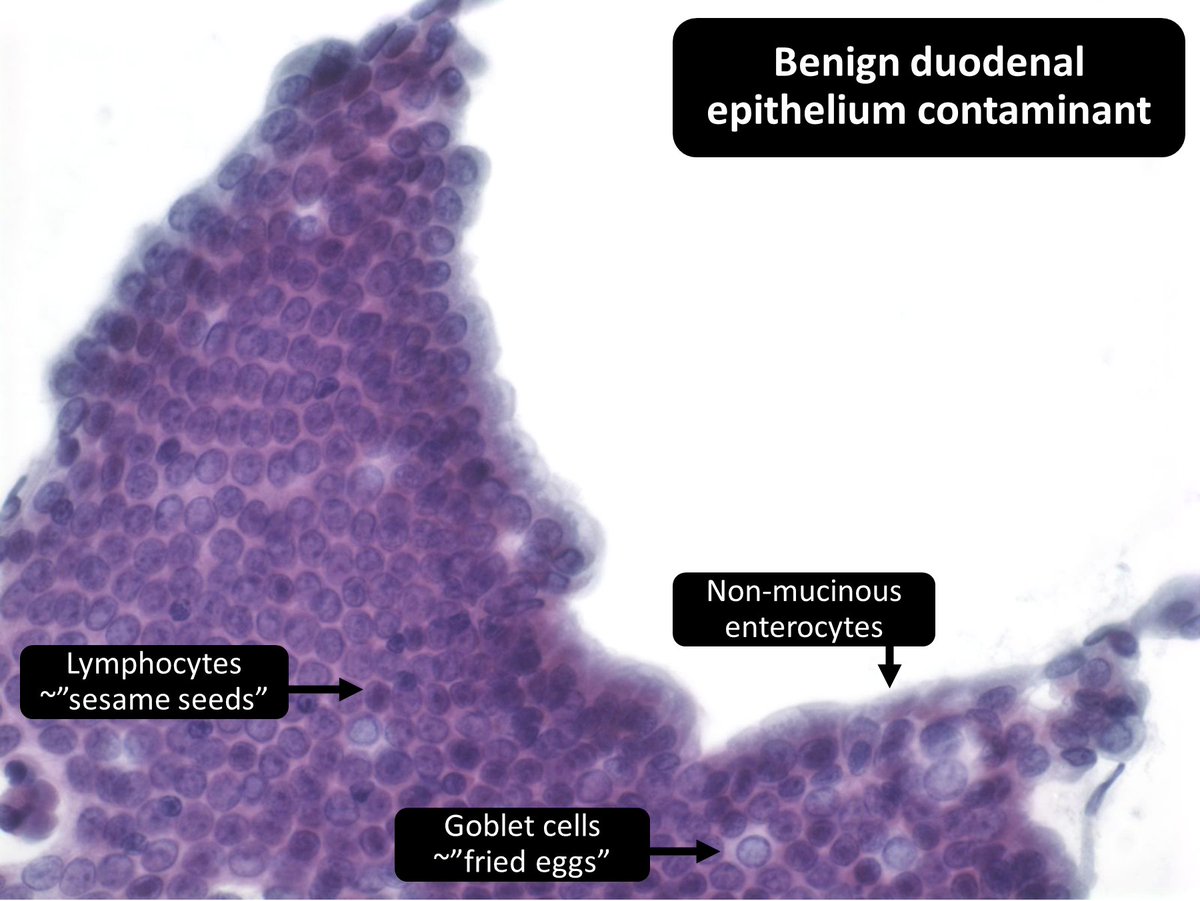 DrCycloPath tweet picture