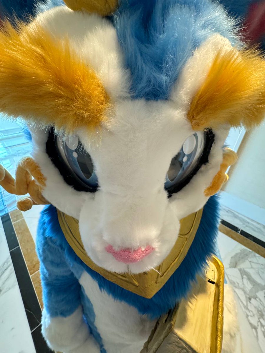 Jazz_BerryJam's tweet photo. She has been posted! 
Auction is up and she'll be set up to go! 
New feet paws will be included! 

https://t.co/vs2Mx115wl

Please Retweets are welcome! https://t.co/rNr1gKIR1p