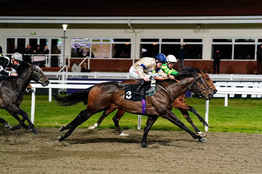 The unbeaten 🌟DYRHOLAEY🌟 heads to @NewcastleRaces tonight where he bids to maintain his winning streak🤞🤩 We would like to wish his owners the very best of luck for tonight’s race🍀 #HambletonTeam