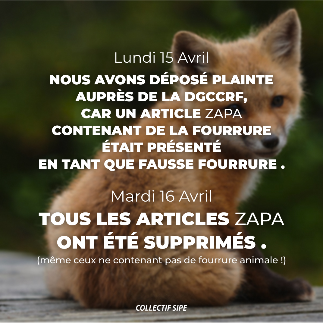collectifsipe's tweet photo. Désolé·e·s (pas vraiment) #ZAPA ! Si vous aviez une politique anti-fourrure, ça ne serait pas arrivé ! 🤷♀️ Vous savez ce qu'il vous reste à faire ! ✌
@Galeries_Laf , nous attendons toujours que vous vous engagiez à bannir la fourrure animale définitivement !
#GaleriesLafayette https://t.co/x0Kak8w7SK