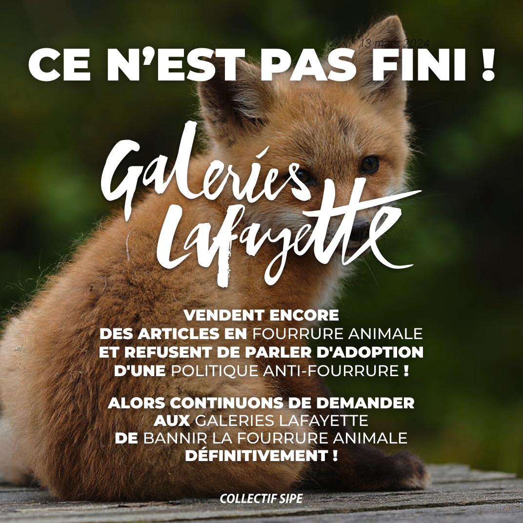 collectifsipe's tweet photo. Désolé·e·s (pas vraiment) #ZAPA ! Si vous aviez une politique anti-fourrure, ça ne serait pas arrivé ! 🤷♀️ Vous savez ce qu'il vous reste à faire ! ✌
@Galeries_Laf , nous attendons toujours que vous vous engagiez à bannir la fourrure animale définitivement !
#GaleriesLafayette https://t.co/x0Kak8w7SK