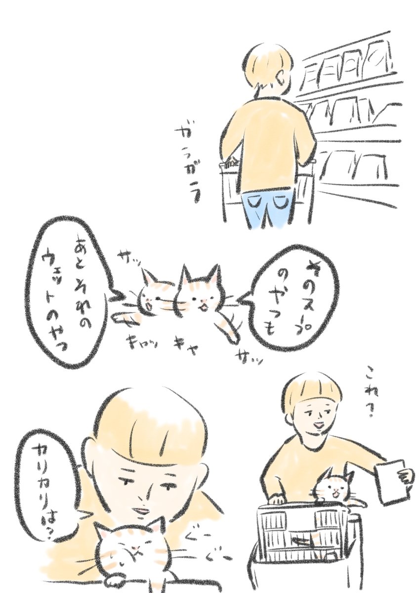 うちの猫好き嫌い激しいから一度本人と一緒にお買い物したい。