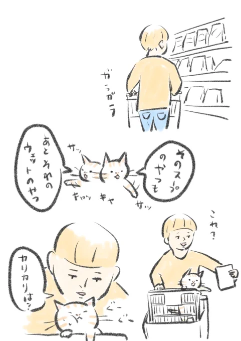 うちの猫好き嫌い激しいから一度本人と一緒にお買い物したい。 