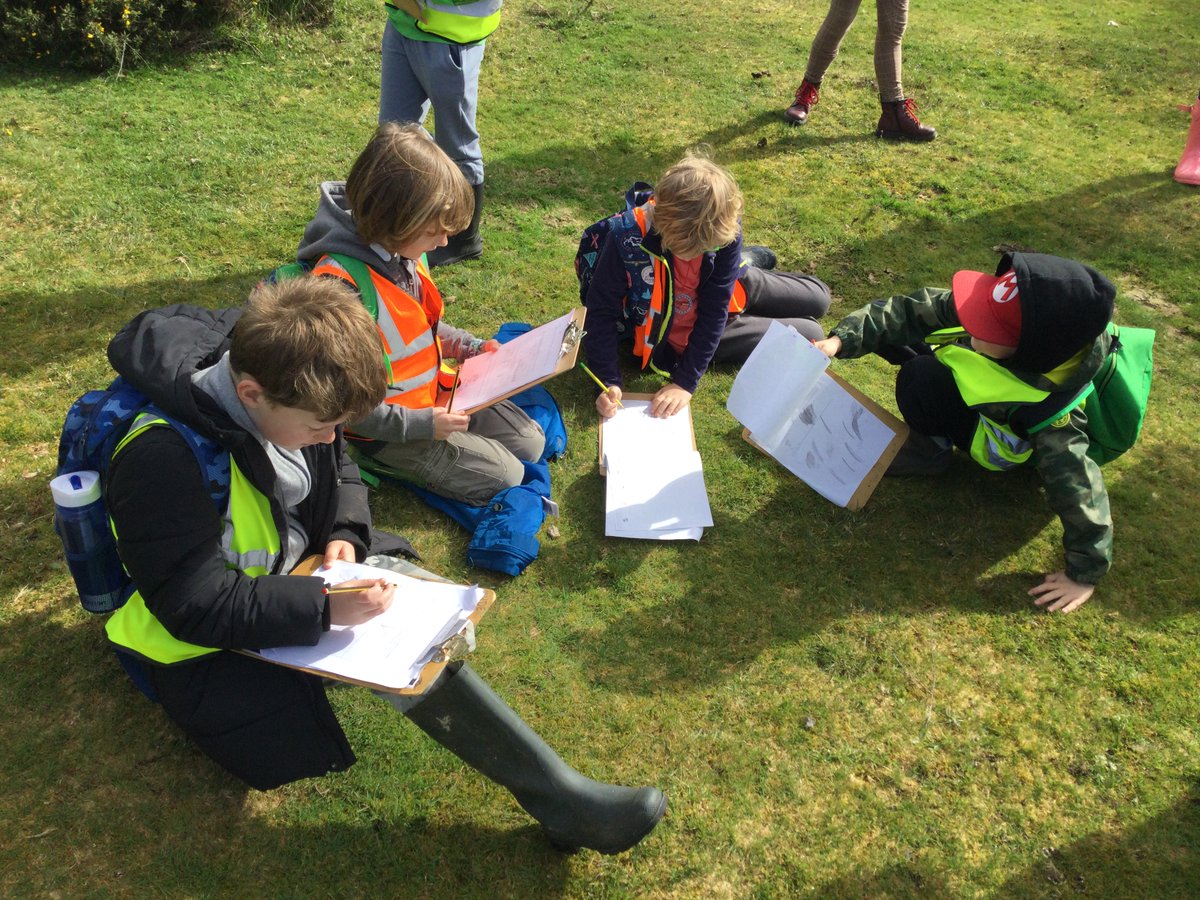 Hale Primary School tweet media