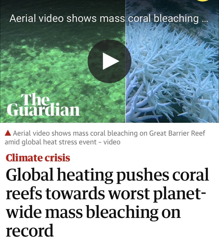 99blackbaloons's tweet photo. The downfall of human civilisation will simply be attributed to having comatosed within a deep abyss of unconsciousness which we never even tried to crawl out of. 

The largest organism on the planet, the Great Barrier Reef, is going extinct, along with ALL coral reefs globally. 

The apocalypse is happening right now, here on Earth, whatever it is you’re doing, watching, eating or working through. 

There is no pause button, and it’s coming for us all

#ClimateCrisis #politics #psychology #economics #anthropology