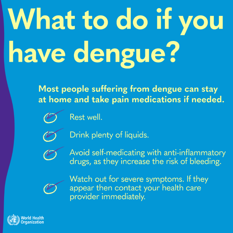 WHO's tweet photo. #Dengue is a viral infection transmitted to humans through the bite of infected mosquitoes.

Here's what you need to know: the symptoms, how to protect yourself, what to do if you have dengue, and if there is a vaccine. 👇