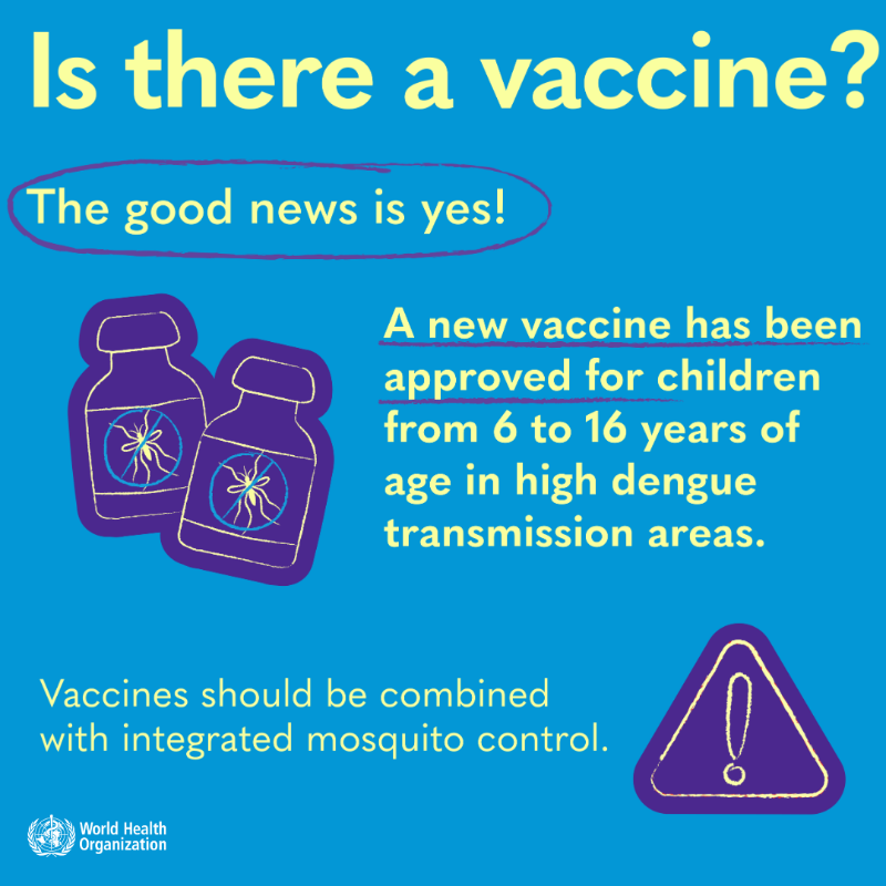 WHO's tweet photo. #Dengue is a viral infection transmitted to humans through the bite of infected mosquitoes.

Here's what you need to know: the symptoms, how to protect yourself, what to do if you have dengue, and if there is a vaccine. 👇