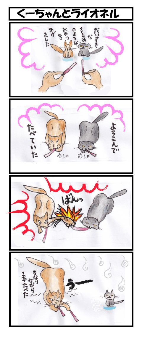 猫の上下関係です😅
 #ねこ #四コマ漫画 