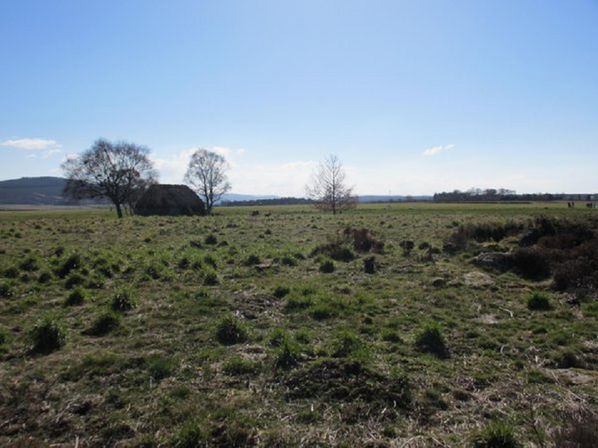 The Battle of #Culloden Moor took place on this date in 1746. I took this pic in 2014. A ghostly melancholy and desolation there of a type I've never experienced anywhere else. 💮🏴󠁧󠁢󠁳󠁣󠁴󠁿⚔️