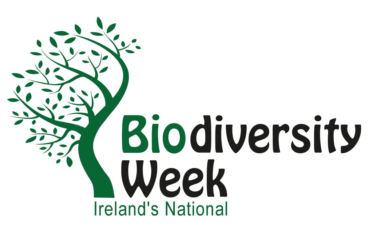 #BiodiversityWeek2024 biodiversityweek.ie. If you are organising an event for the week, let us know by 26/04/2024 for inclusion in RCC advert & PR. RSVP heritage@roscommoncoco.ie 
Supported by @npwsBioData
 #LBAF #roscommonheritage #loveyourheritage #RosHeritageForum